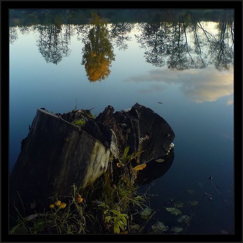 Пень.Память.Октябрьphoto preview