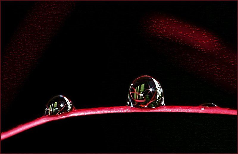 макро,капли Театральный диалог.photo preview