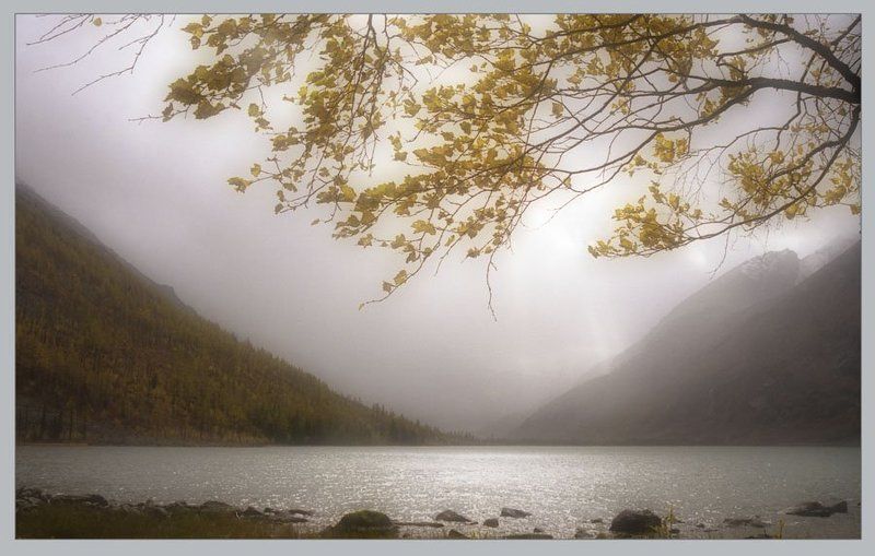 Предзимьеphoto preview