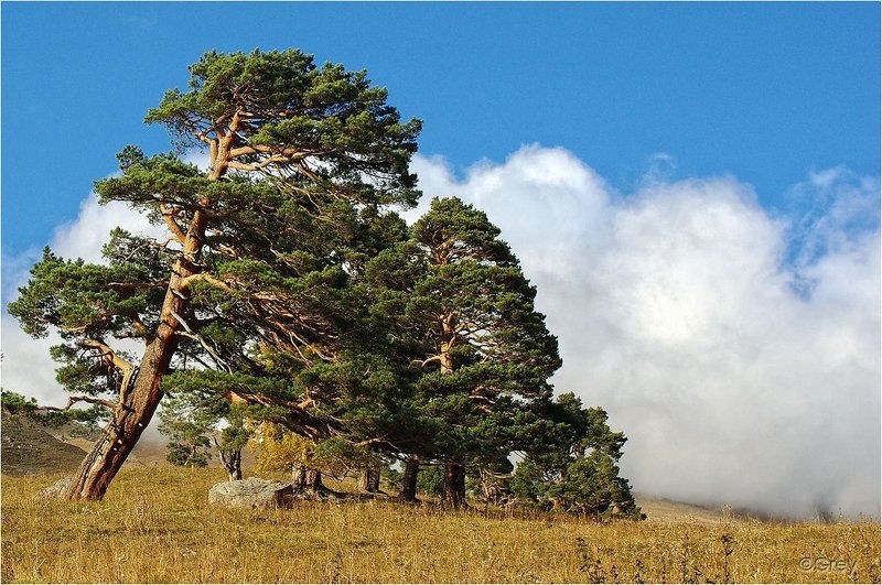 горы,облака,небо,осень На стыке Неба и Землиphoto preview