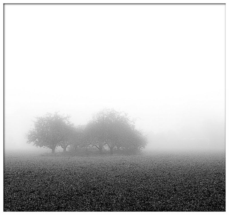 Вместеphoto preview