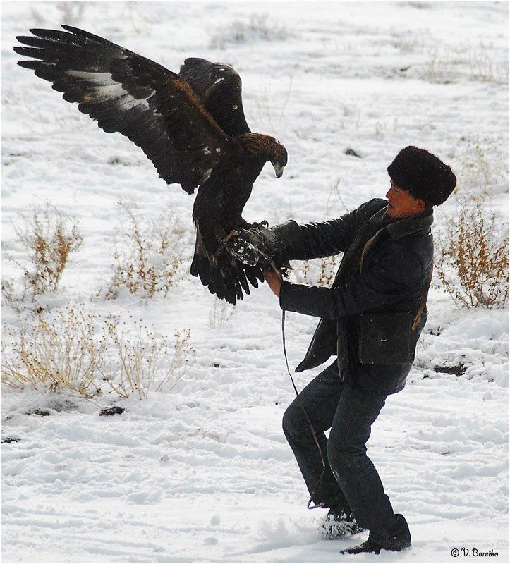 Тормози!photo preview