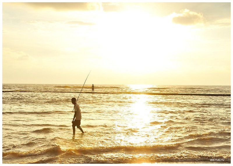 Зарисовки. Шри-Ланкаphoto preview