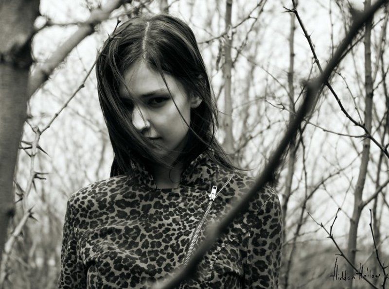 Терновая веснаphoto preview