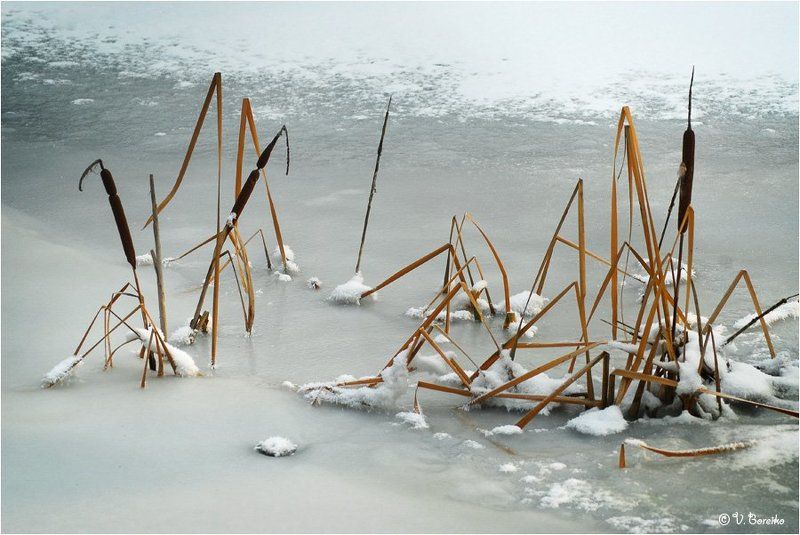 Танкаphoto preview