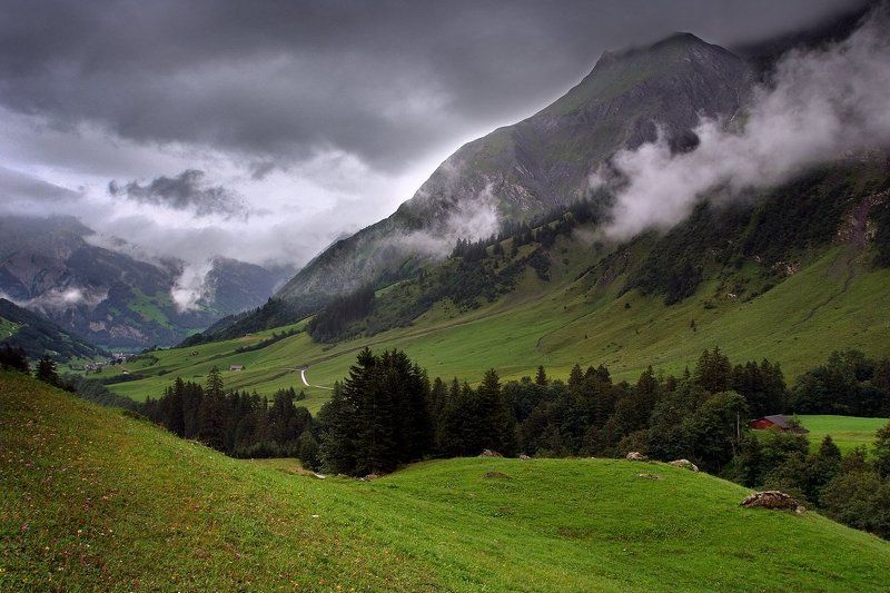 швейцария Альпийские лугаphoto preview