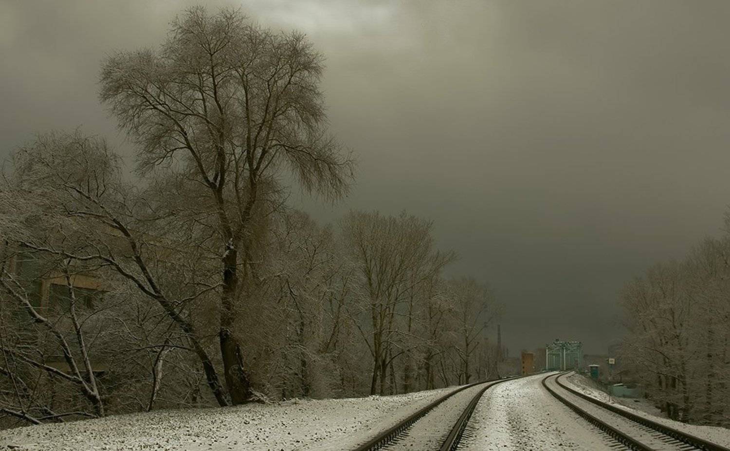 , Вячеслав Довыденков