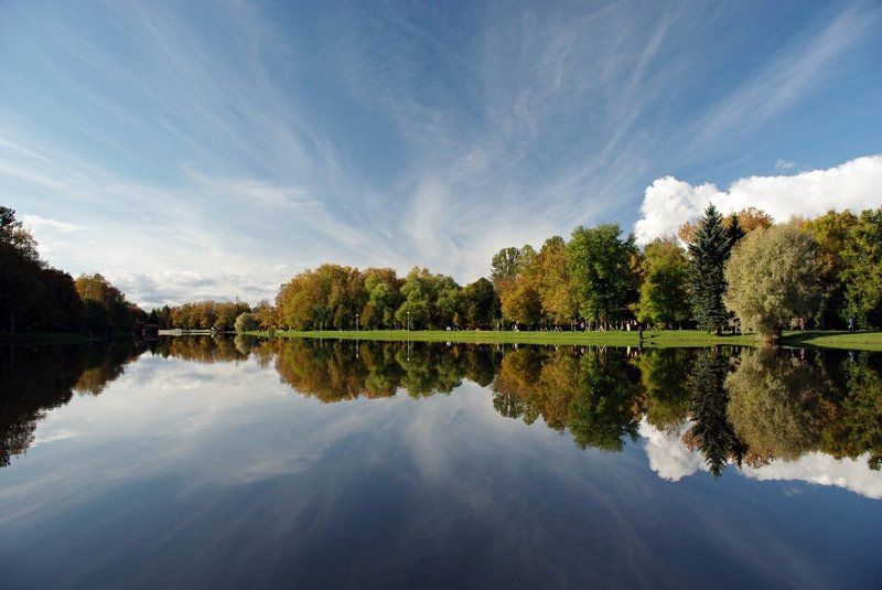 Отраженияphoto preview