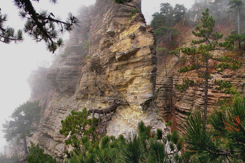 Корабль бороздящий туманыphoto preview