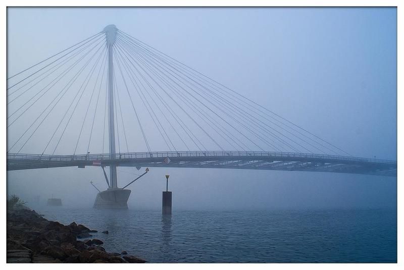 Струны туманаphoto preview