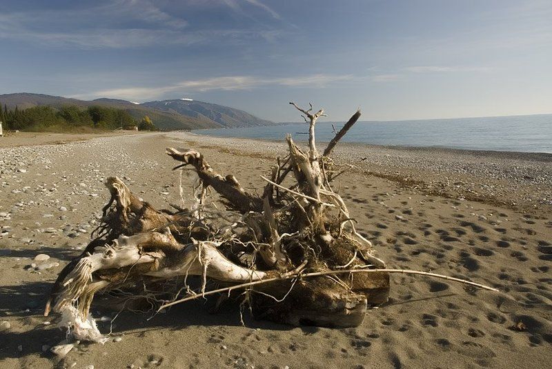 абхазия, страна души Пляжная Химера.photo preview