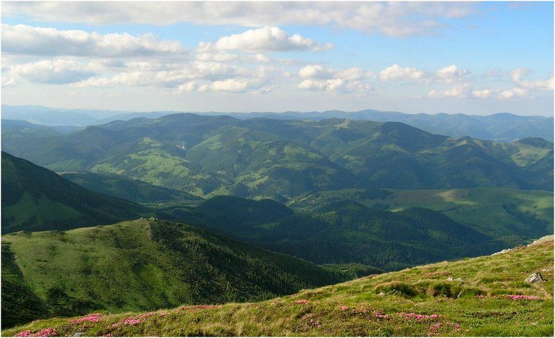 карпаты ***photo preview