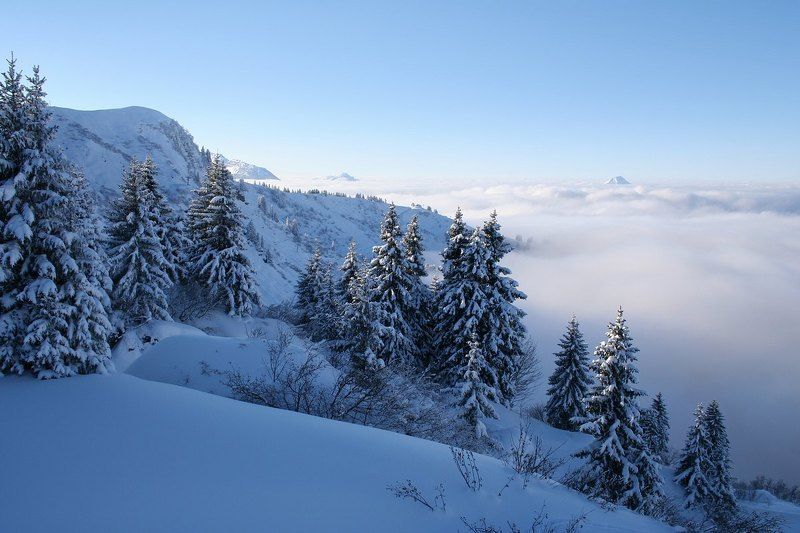 Над облакамиphoto preview