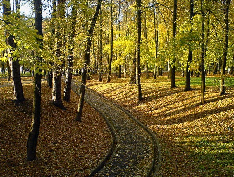 Палитра октябряphoto preview