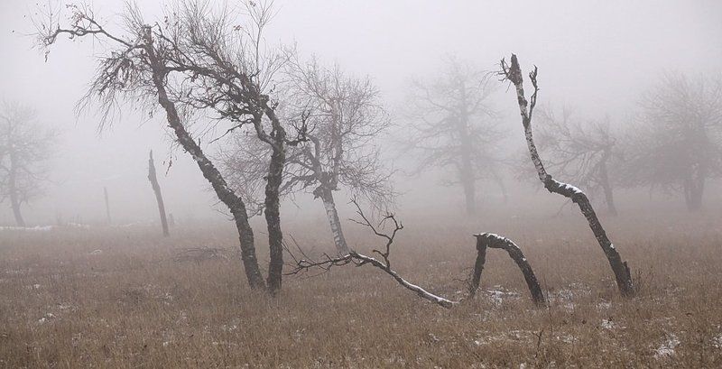 не прощенныеphoto preview