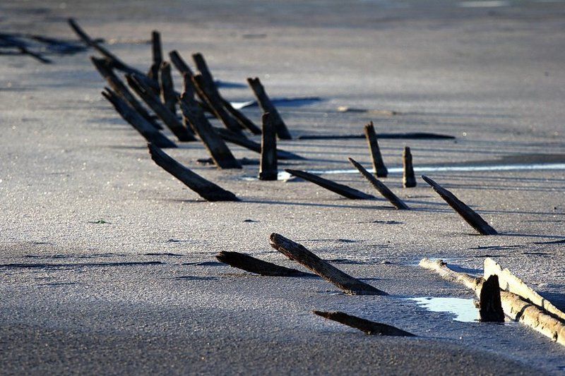 заброшенное,забытое из жизни дерева 2photo preview