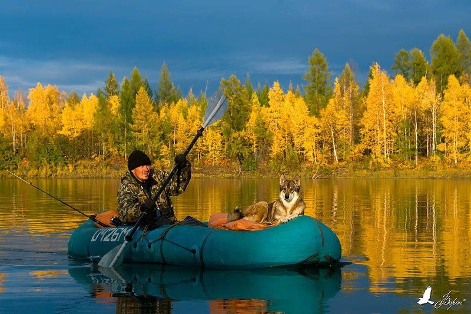 буюнда, сплав, лодка, собака, человек, река, осень, колыма, напряжение, трудности, впечатление, Ворон