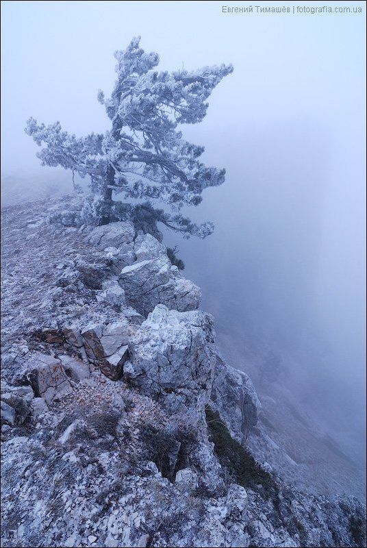 Туманы Ай-Петриphoto preview