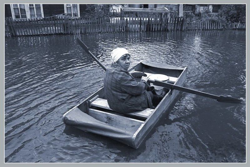 Где зайцы?photo preview