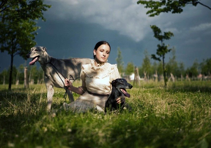 предчувствие буриphoto preview