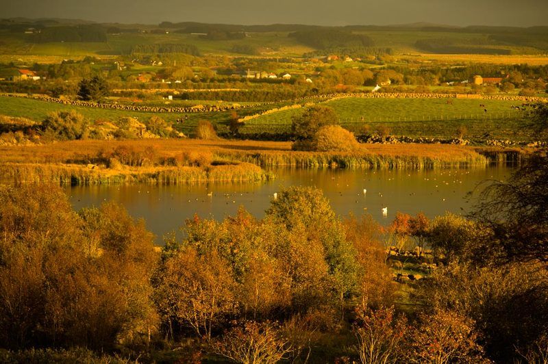 Осенняя Норвегияphoto preview