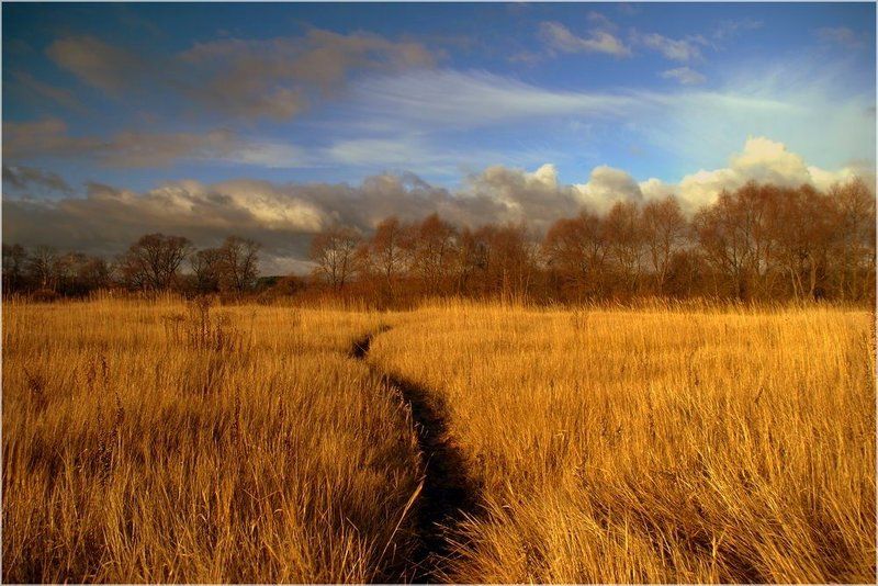 * * * * *photo preview