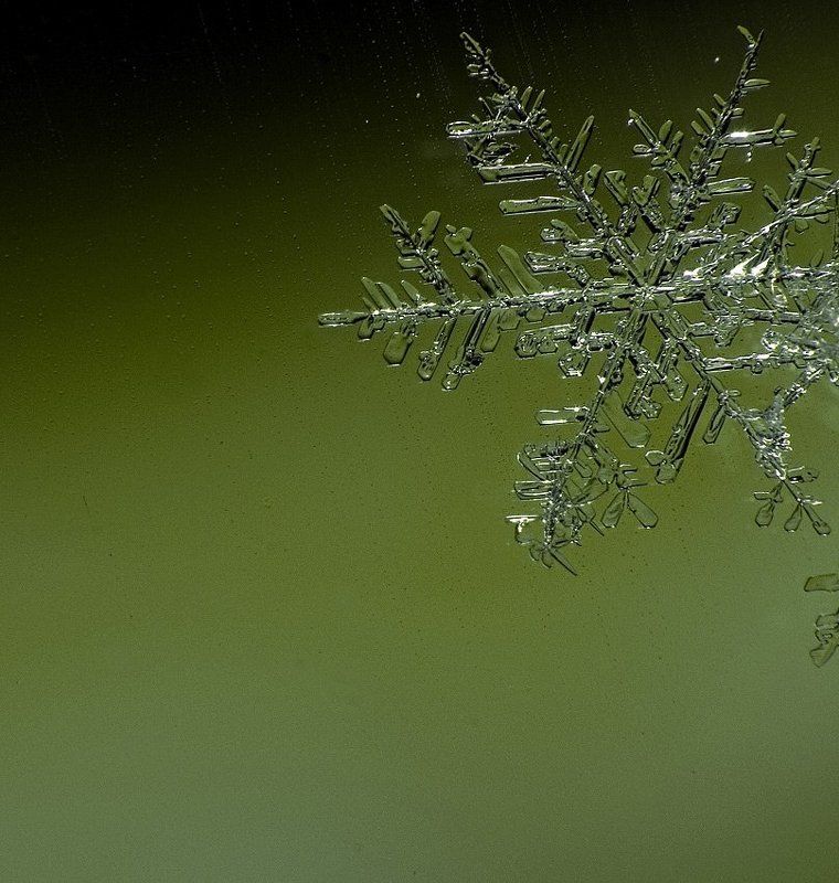 снег,макро,снежинка,зима ...снег идет..photo preview