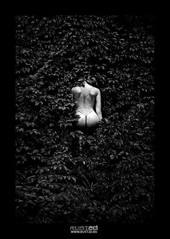 Back wall Leavesphoto preview