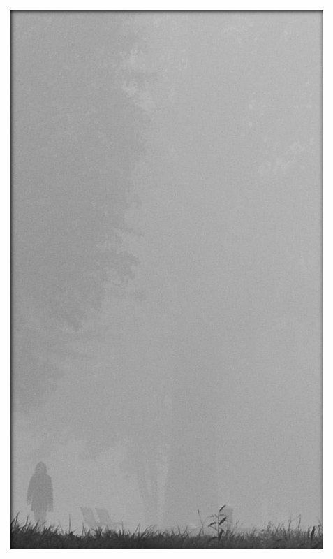 Муст 2photo preview