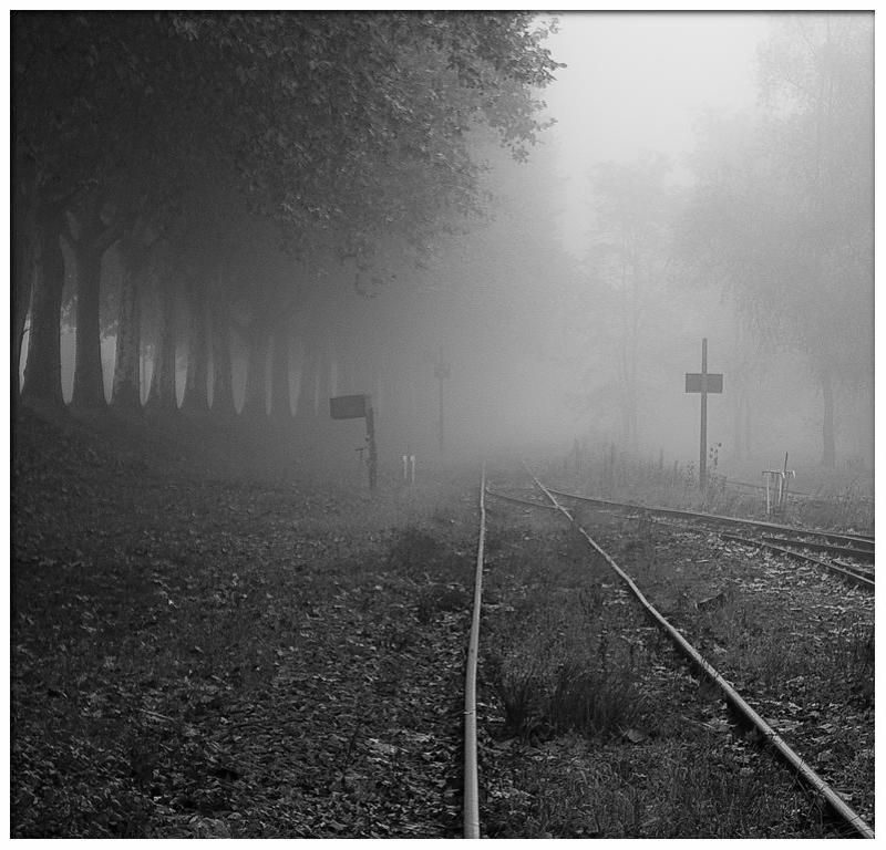 Сталкерphoto preview