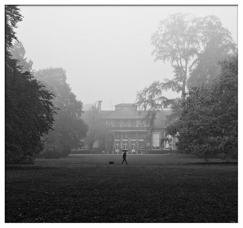 Прогулкаphoto preview