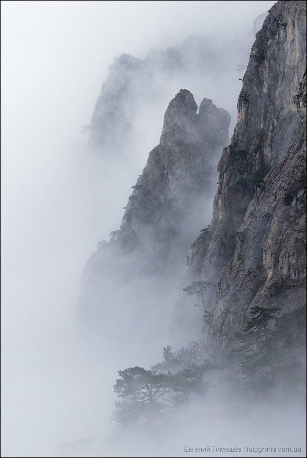 , Евгений Тимашёв