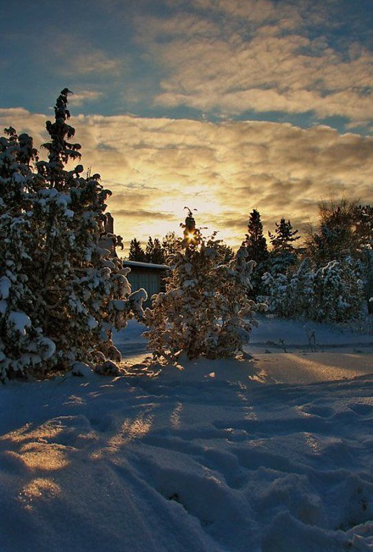 Зимний рассвет фото превью