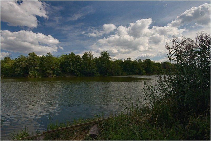 река, берег, лес Рось IIIphoto preview