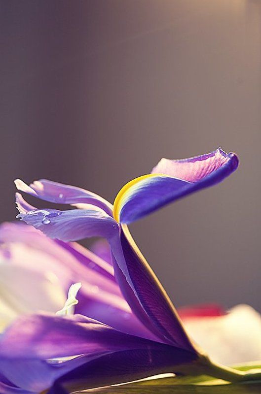 не зимнее настроениеphoto preview