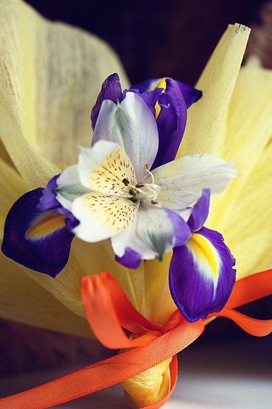 мечтая о Веснеphoto preview