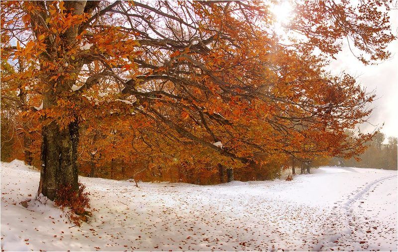 карпаты Зимо-осеньphoto preview