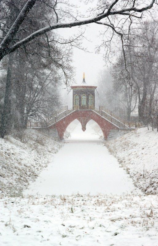 В Пушкине метельphoto preview
