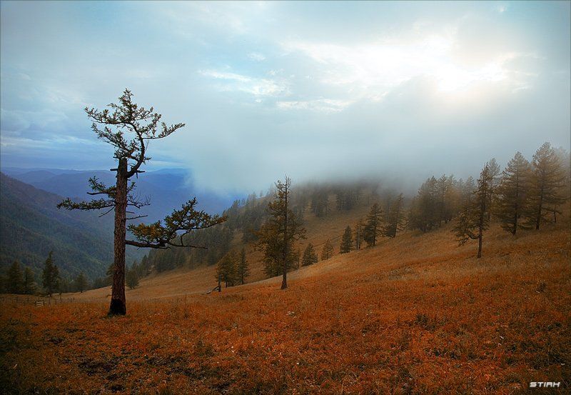 пейзаж, природа, алтай, горы, путешествие, манипуляции Алтайский крайphoto preview