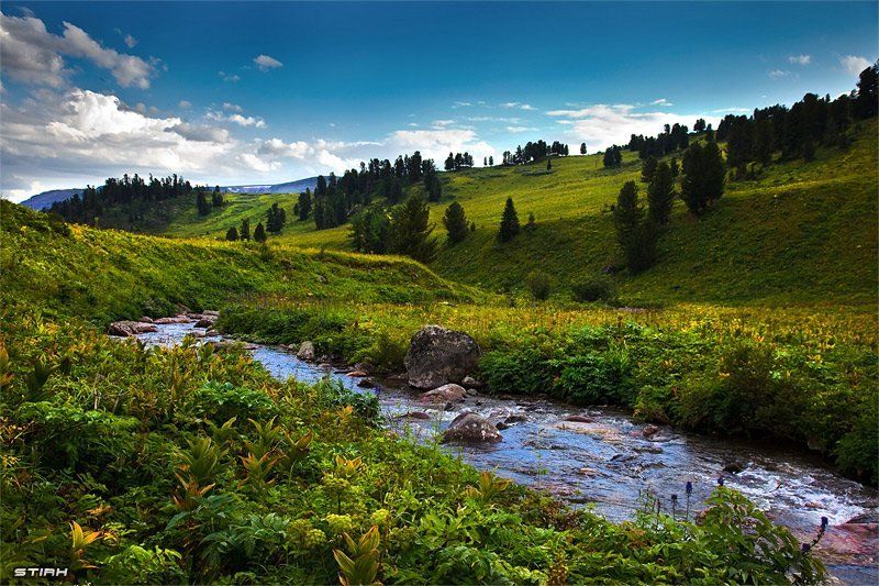 пейзаж, природа, алтай, горы, путешествие, манипуляции Алтайские поляphoto preview