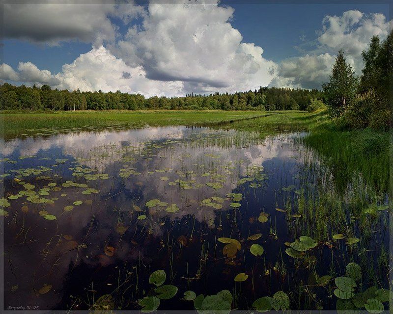 протокаphoto preview