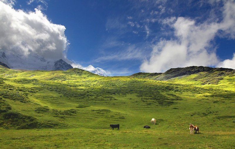 А-ля Windowsphoto preview