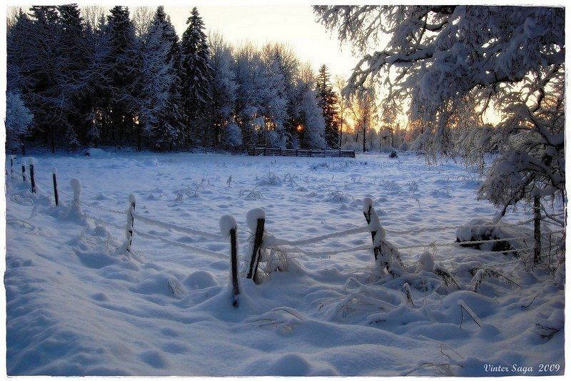 швеция,зима,снег,пейзаж,природа За околицейphoto preview