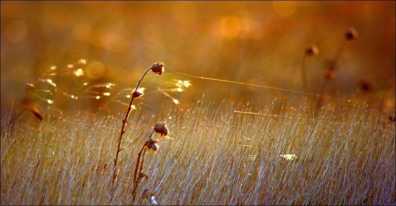 Притяжениеphoto preview