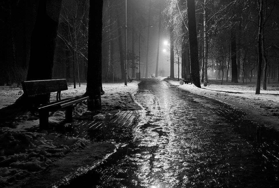 в вечернем парке, дождь.... Автор: Михаил Мочалов , Михаил Мочалов