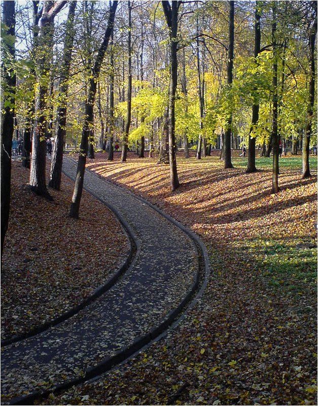 про осенний деньphoto preview