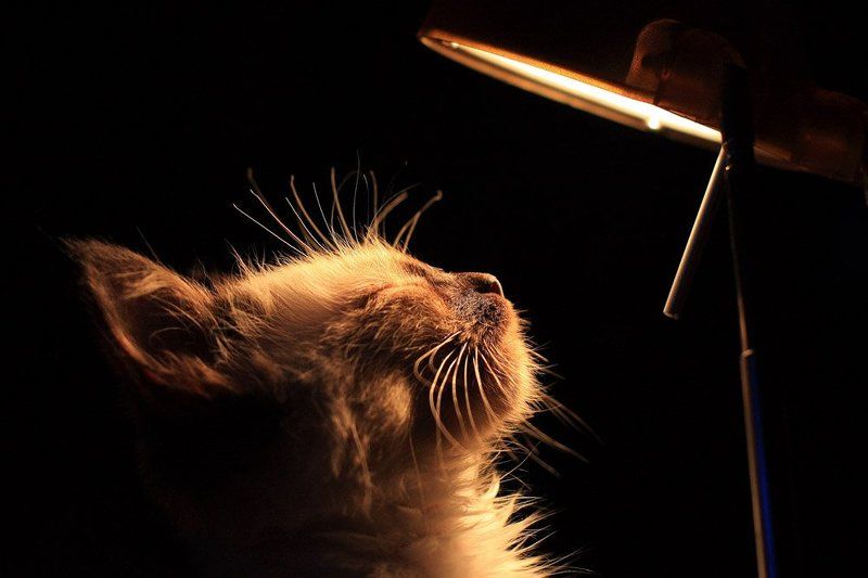 тепло...photo preview