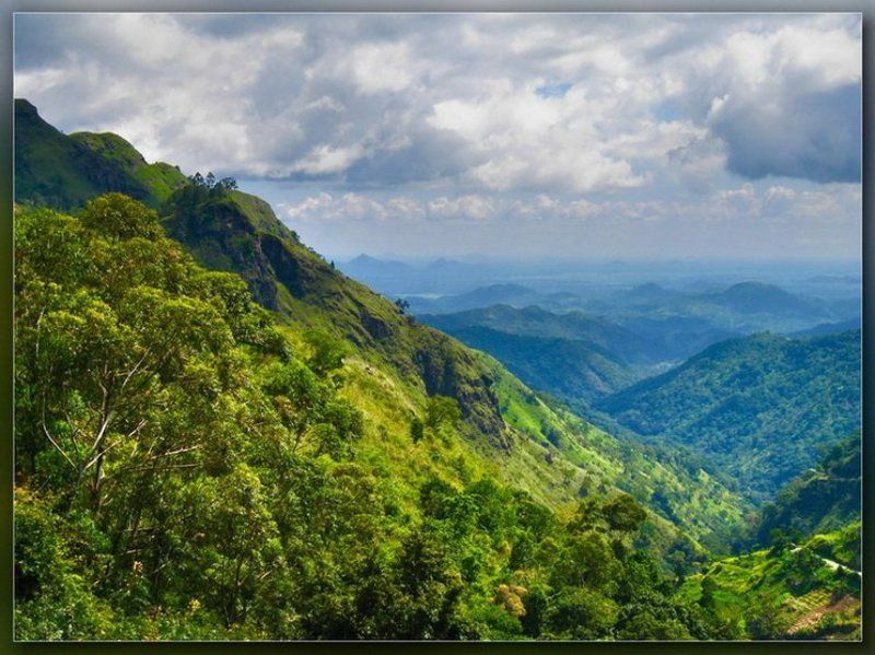 nuwara eliya,горы,нурелия В горах Нурелииphoto preview