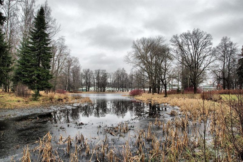 Ораниенбаумphoto preview