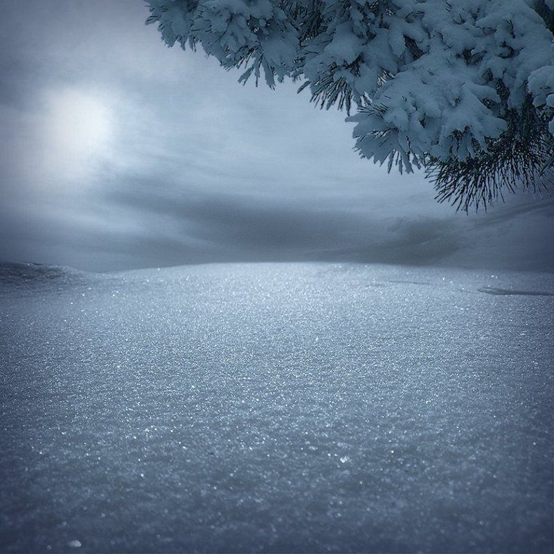 Зимняя сказка.photo preview